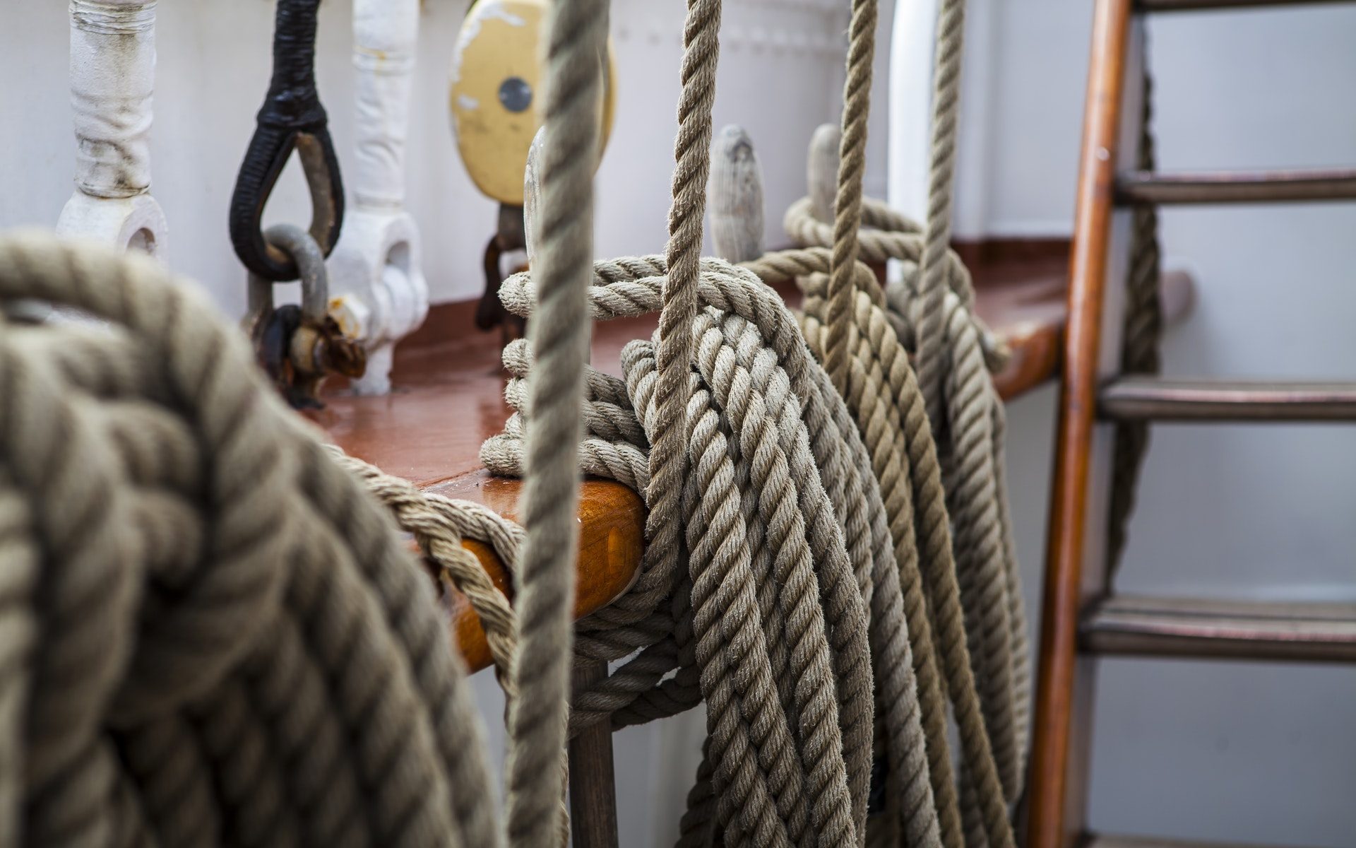 sailing knots